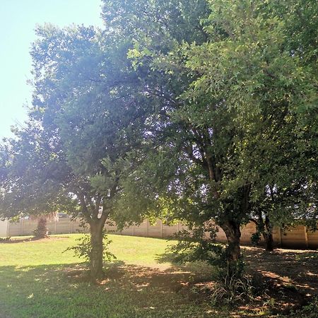 יוהנסבורג Sun1 Alberton מראה חיצוני תמונה